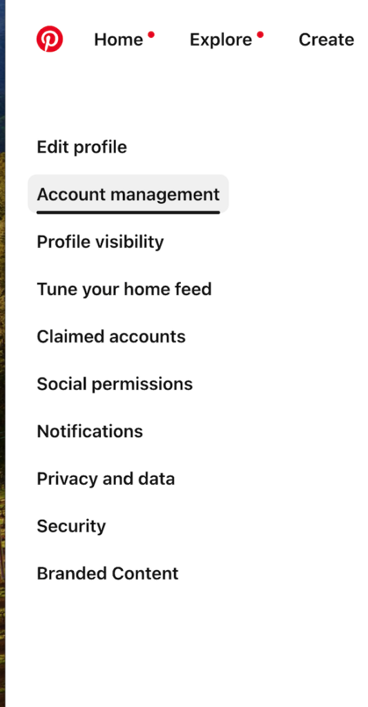 Pinterest menu - Account management option